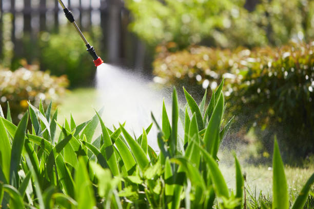 Tamper-Resistant Bait Stations for Rodents in Richboro