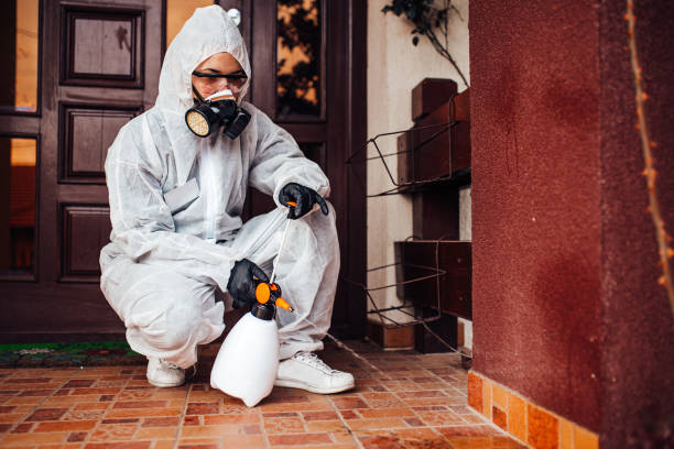 Attic and Crawl Space Rodent Treatment in Richboro