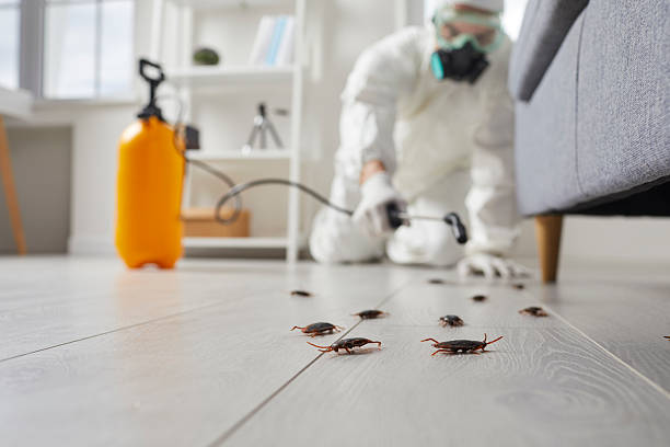 Commercial Rodent Management in Richboro